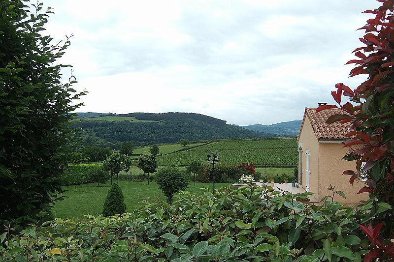 2010-06- (70).JPG
